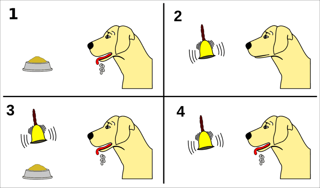 Pavlov's Dogs Graphic
