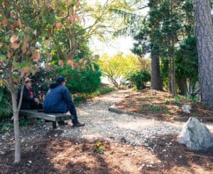 Two people sitting on bench on nature trail