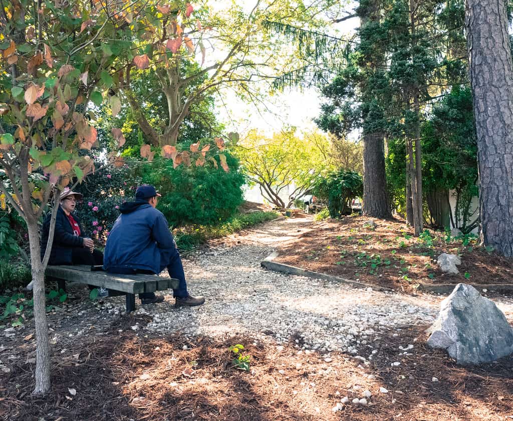 Two people sitting on bench on nature trail